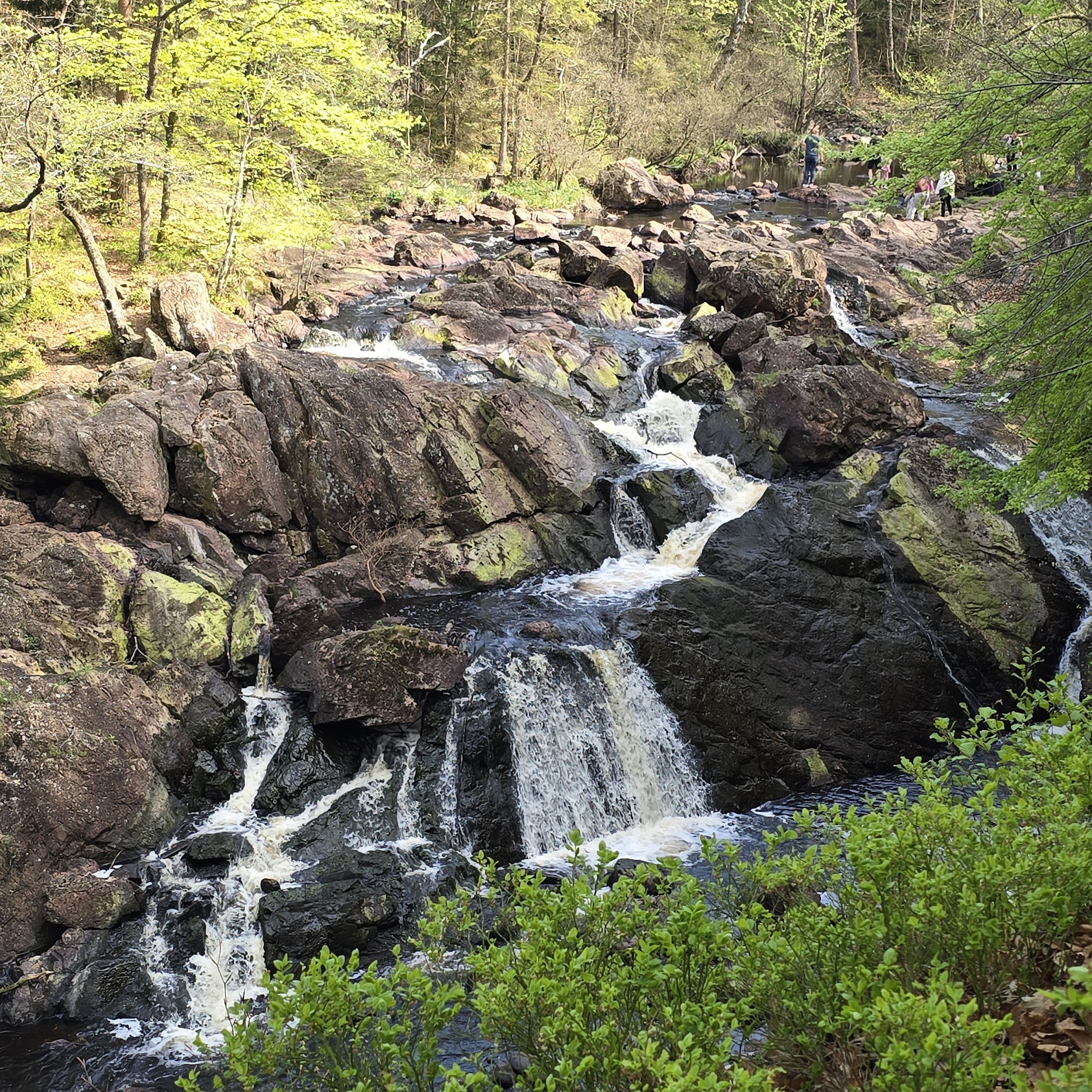 Danska Fall (Danska fallen)